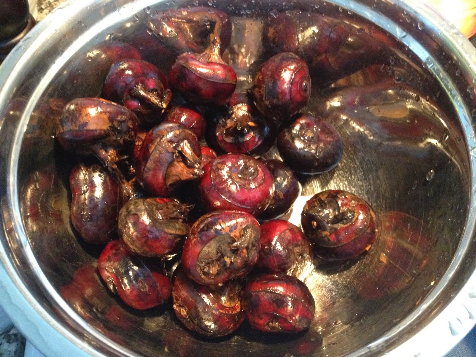 the kitchen runner the troublesome Water Chestnut Chinese Soup